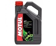 MOTUL 5000 4T 10W-40 - 4 л.